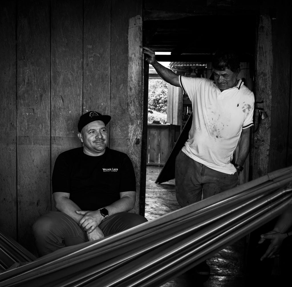 Wilder Lazo Geisha L–1895 (100g)