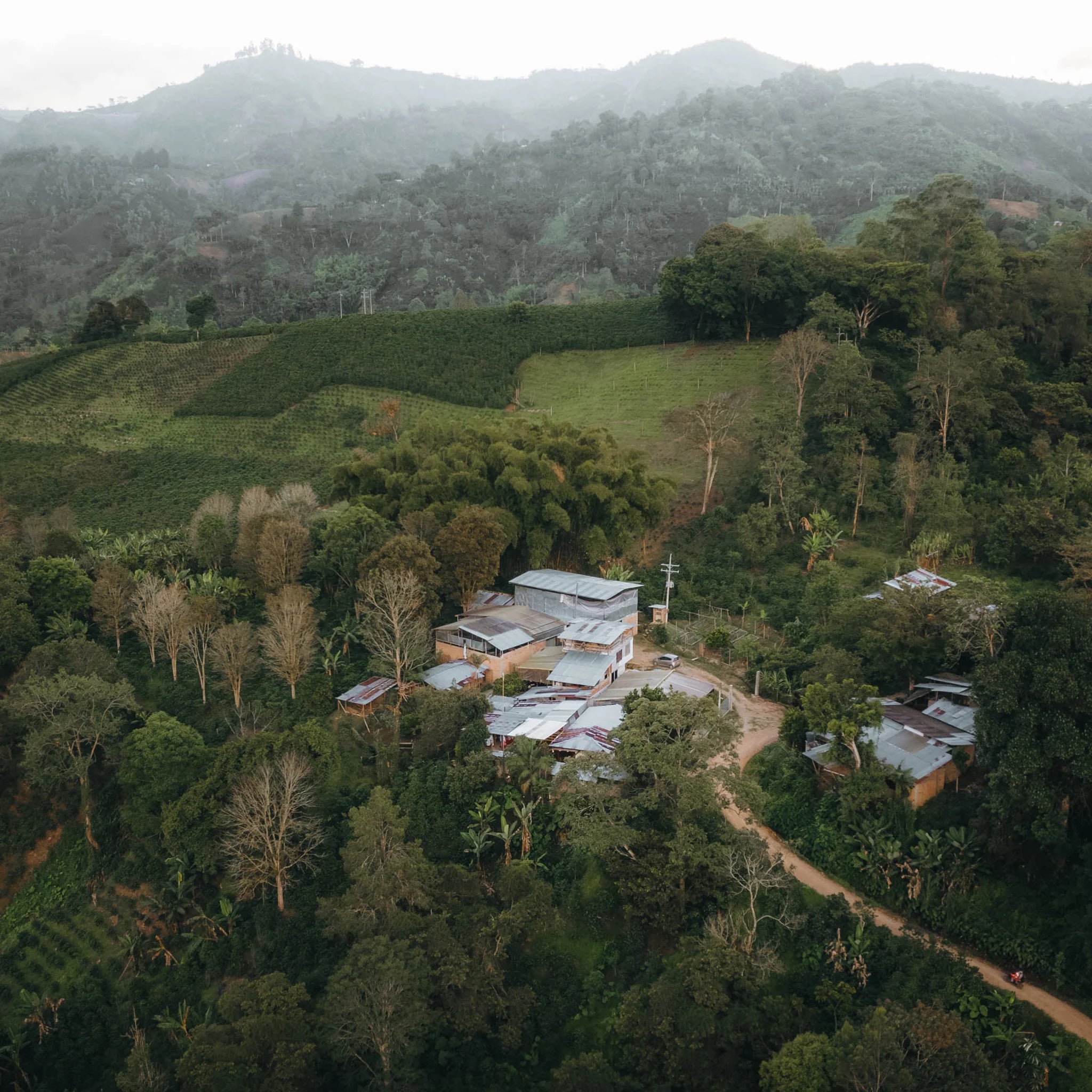 Aroma Nativo L-201 (40g)