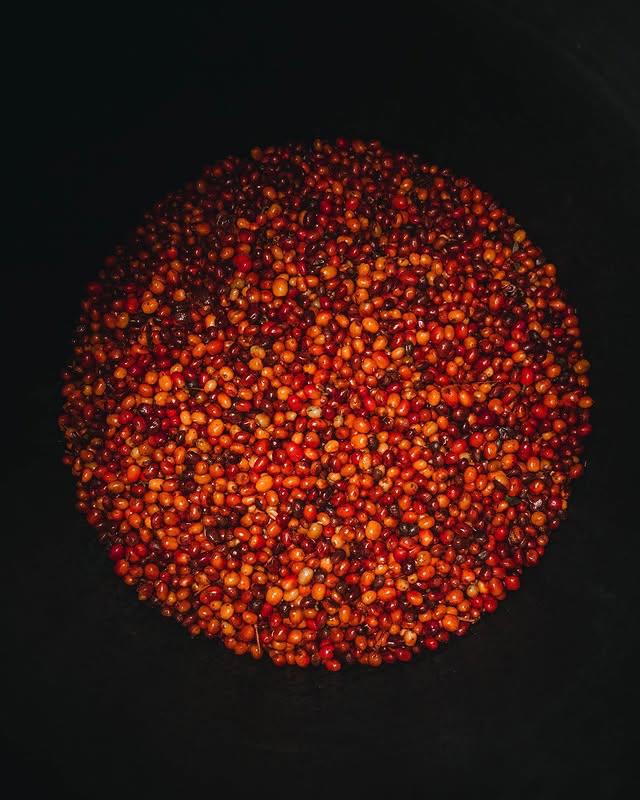 Aroma Nativo L-201 (40g)